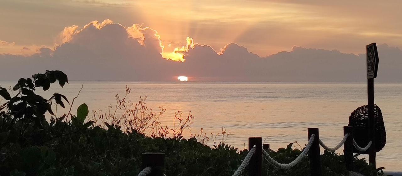 Vila Araticum Praia Santo André Eksteriør billede